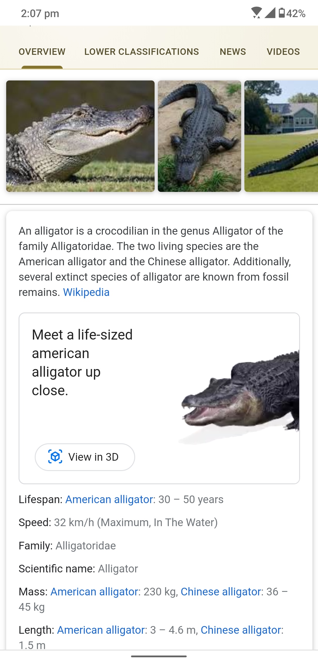 How to View 3D Animals in AR on Your Phone Using Google Search