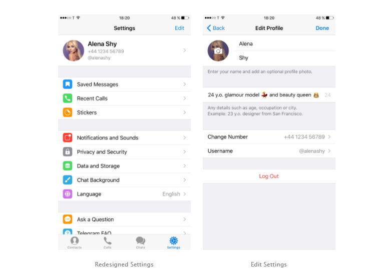 Telegram v 4.5 iOS settings