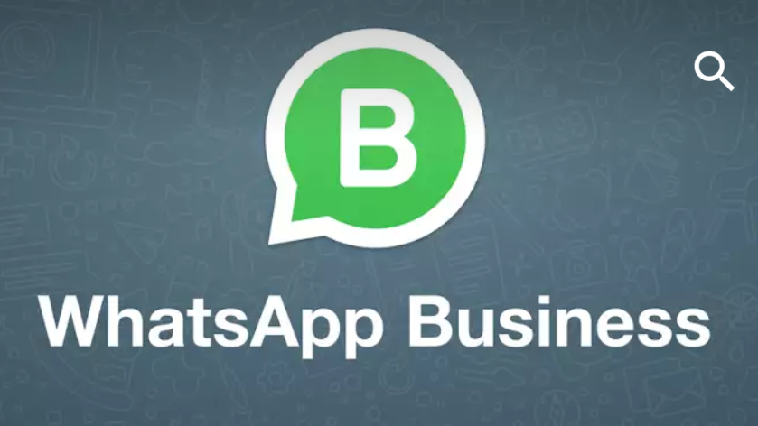 whatsapp business web app download for pc