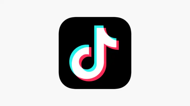 tiktok logo remover app