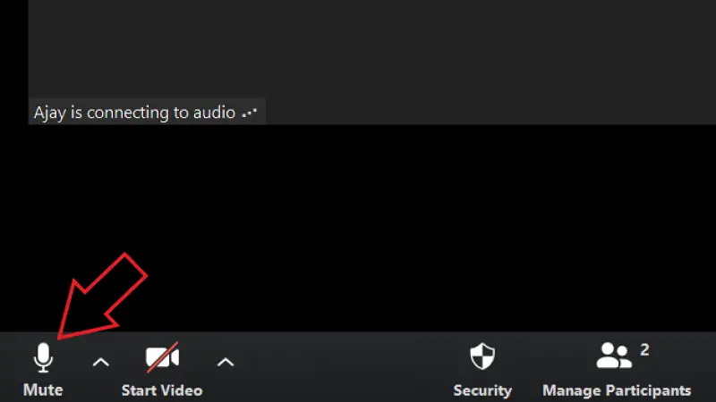 how to mute on zoom phone call