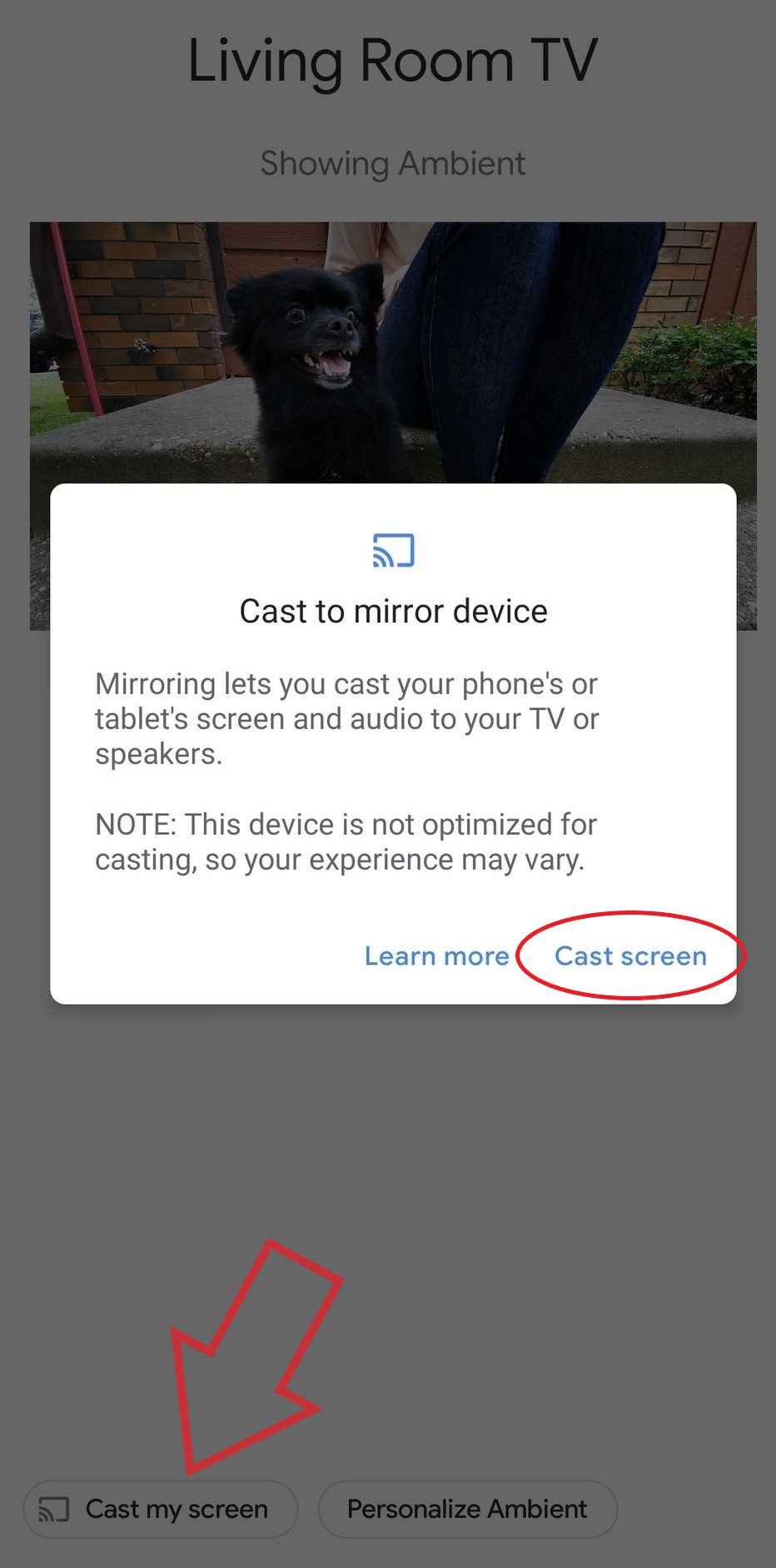 Mirror your Android or iPhone's Screen to Chromecast