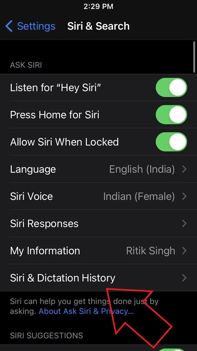 Delete Siri Audio Recording History on iOS