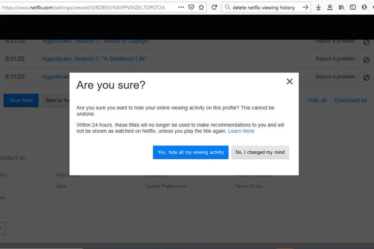 How to Delete Your Netflix Watch History