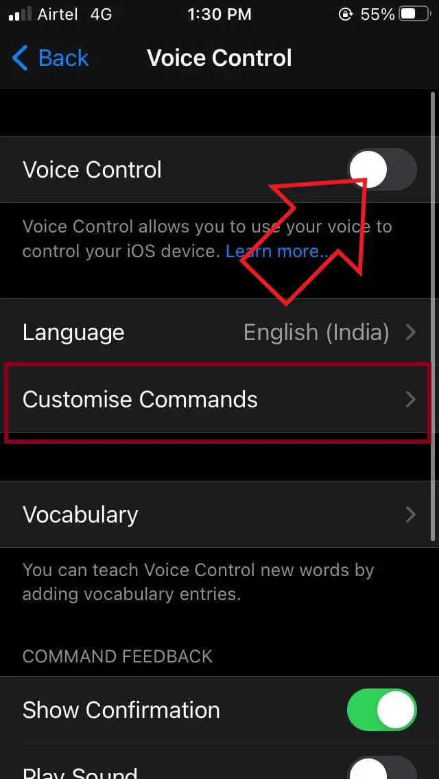 how to turn on voice to text on iphone 6