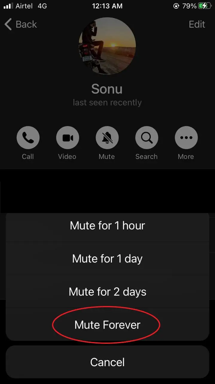 Mute Chats, Groups, and Channels on Telegram Android