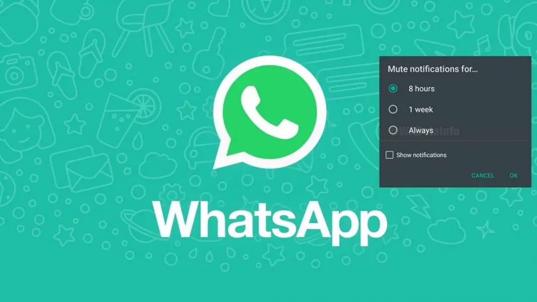 How to Mute Chats and Groups on WhatsApp – Gadgets To Use