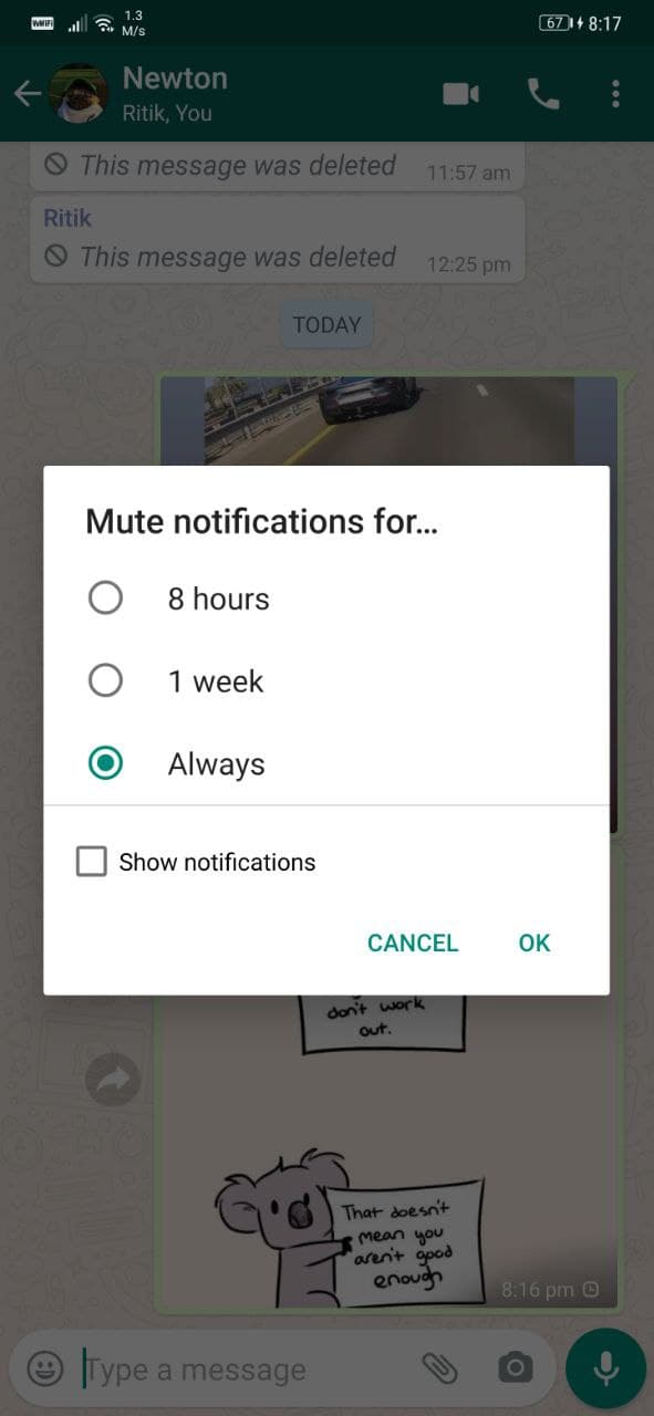Mute Contact Chats and Groups on WhatsApp