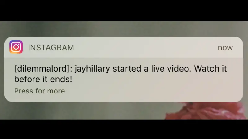 How to Stop Instagram Live Notifications for One Person