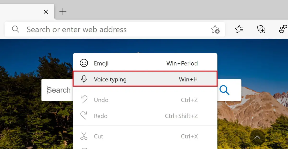 Voice Typing Edge Canary