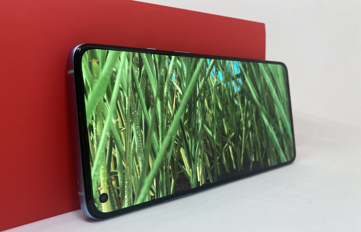 OnePlus 9R Display Review