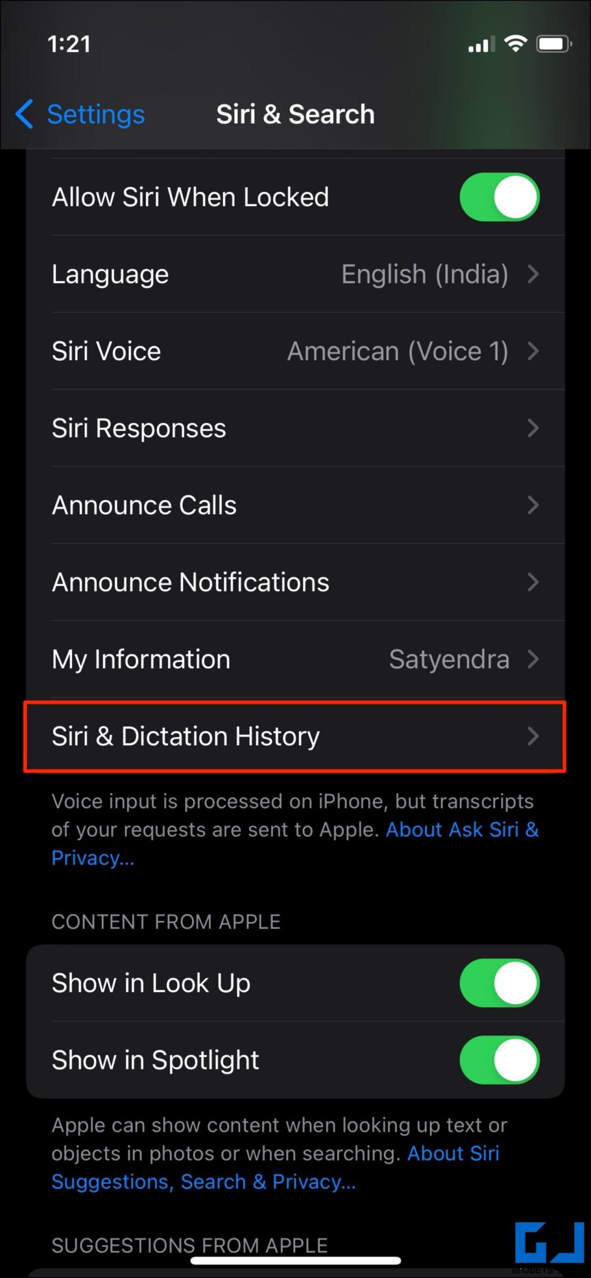 Delete Siri History iPhone iPad