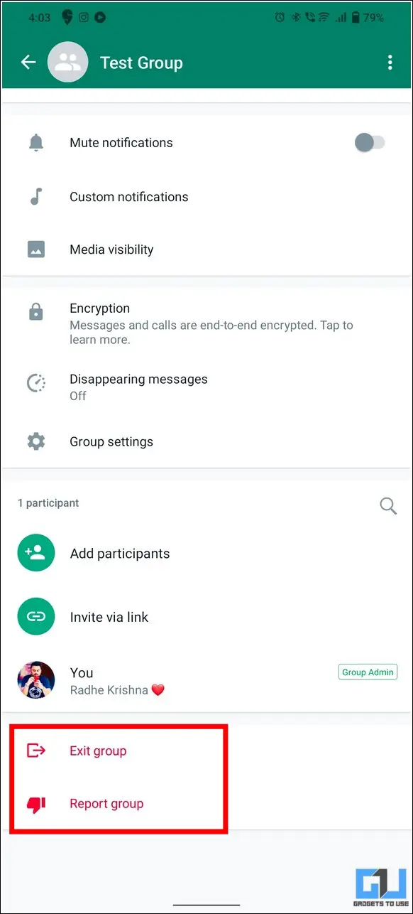 WhatsApp Report and Exit Group