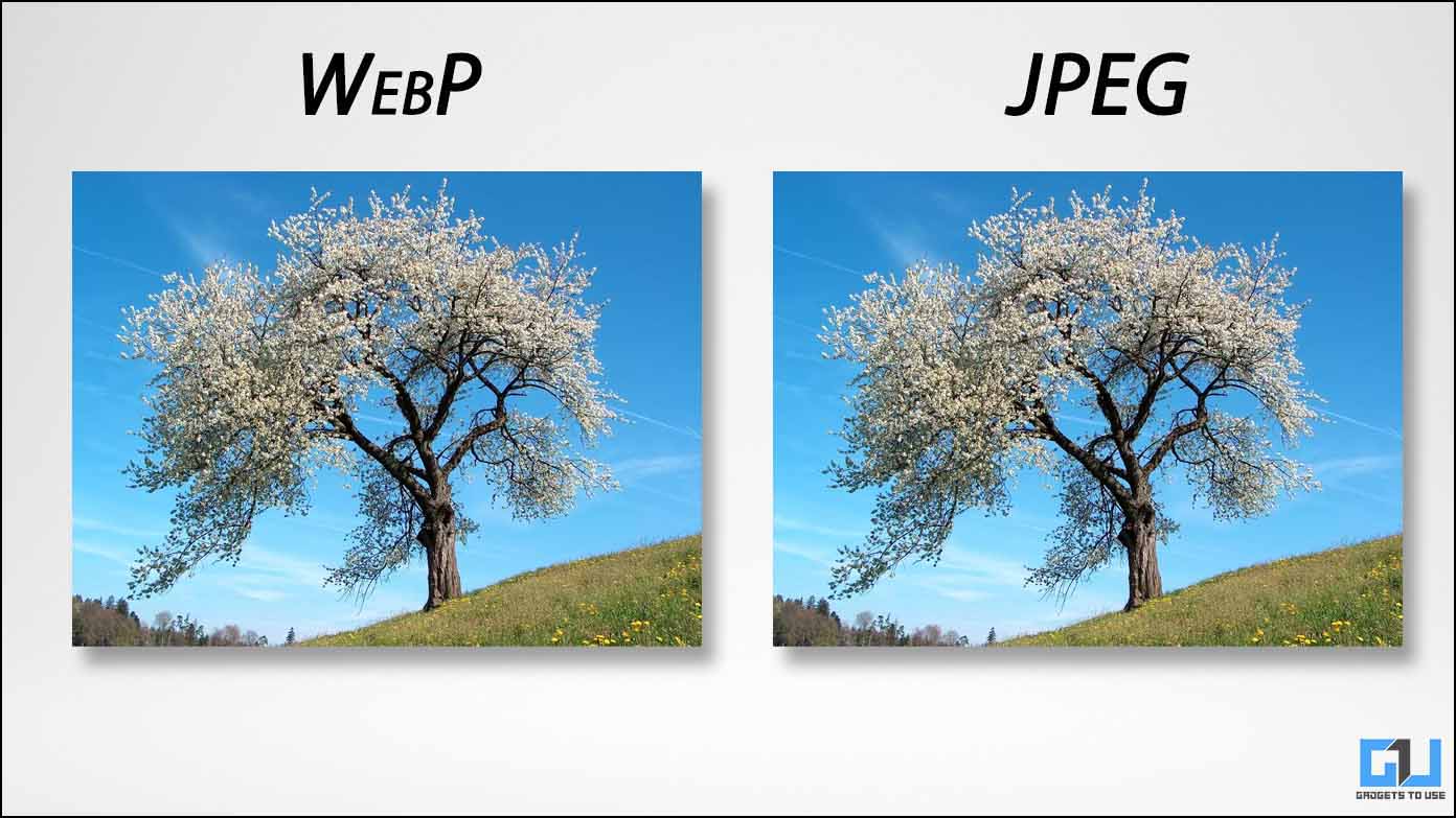 3 formas de convertir imágenes WebP a PNG o JPG en el teléfono o la PC