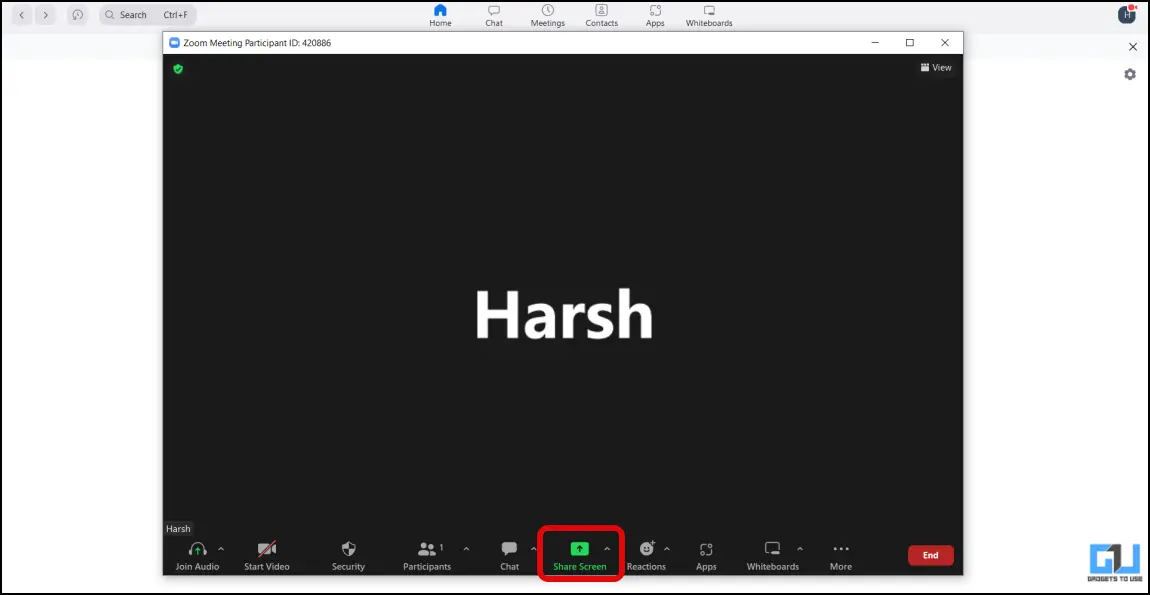 Share Audio without Sharing Screen
