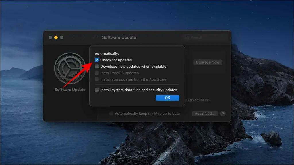 Elimina l'aggiornamento del Mac