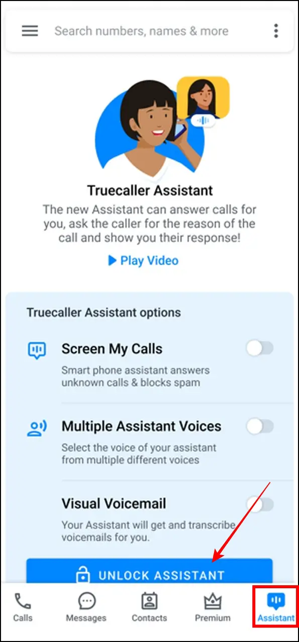 Use Truecaller Assistant