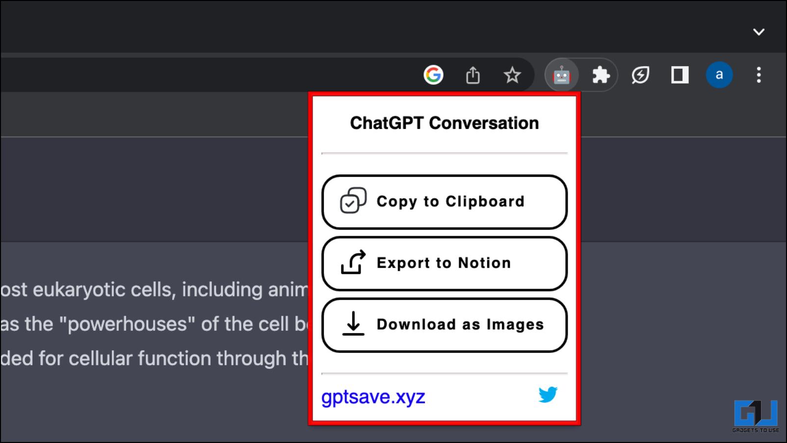 Manage Your Chats: How to Share, Export, and Delete ChatGPT Conversations