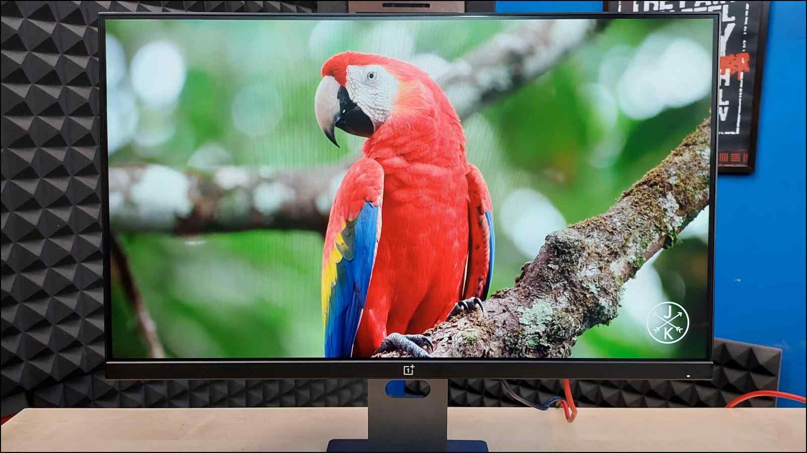 OnePlus E24 Monitor Review