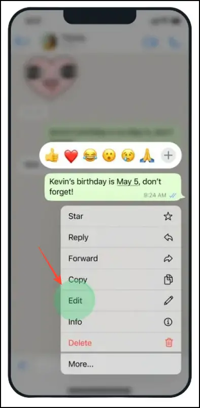 Manage Your WhatsApp Messages on iPhone