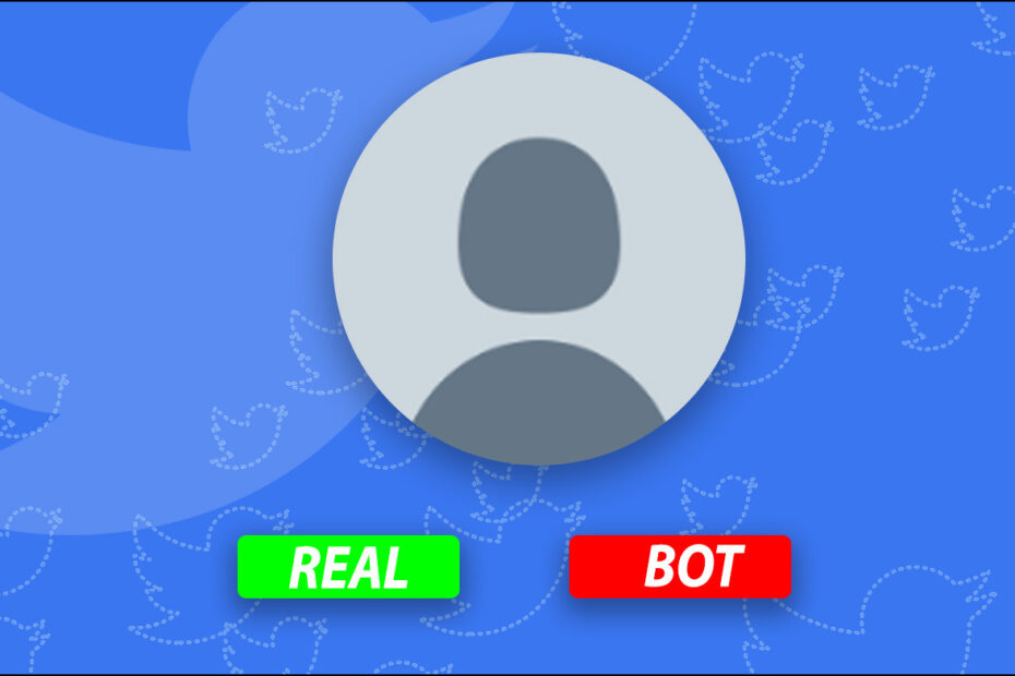 Identify Bot Fake Twitter Account