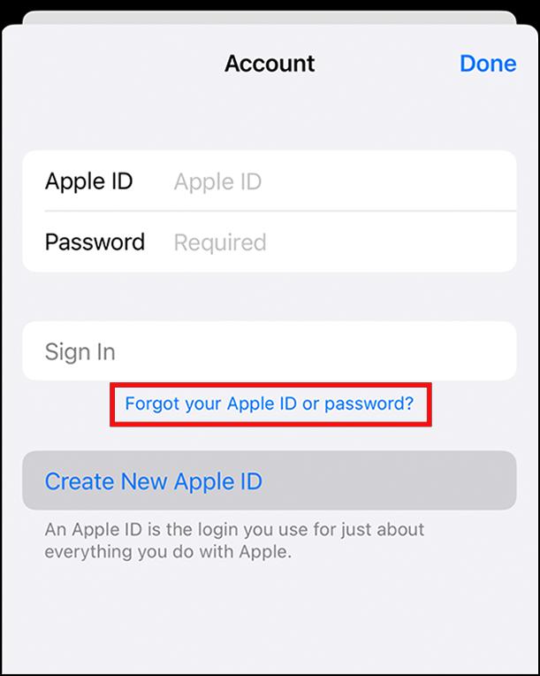 Change or Reset Apple ID password on New iPhone