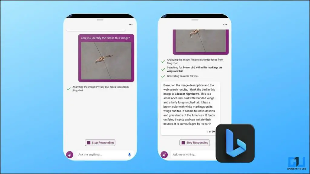 What Is Bing Chat Visual Search? Its Advantages and How to Use It ...