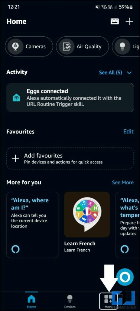Go to More tab in Alexa app