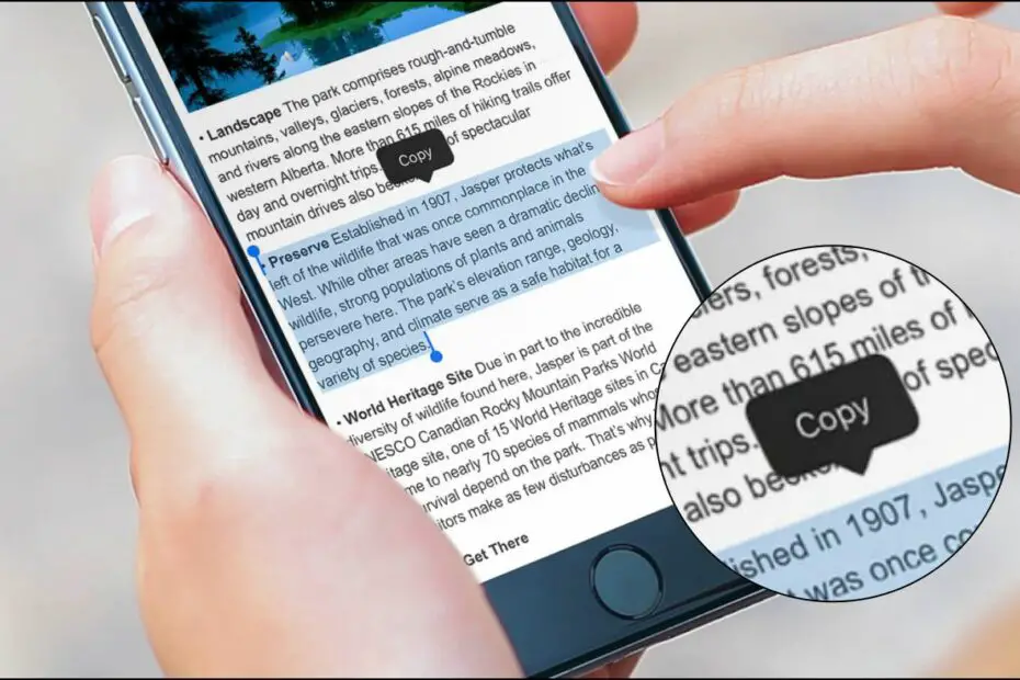 Select and Copy Unselectable Text on iPhone
