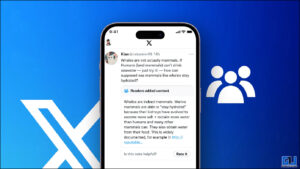 Community Notes feature on X.