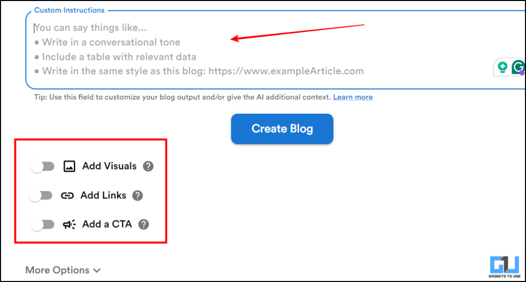 Customs options available in Video to Blog