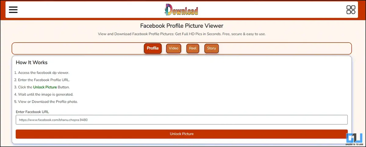 facebook profile picture viewer tool