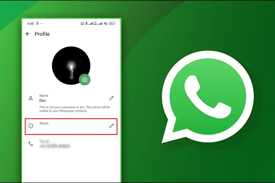 Ways to Set a Blank Status On WhatsApp