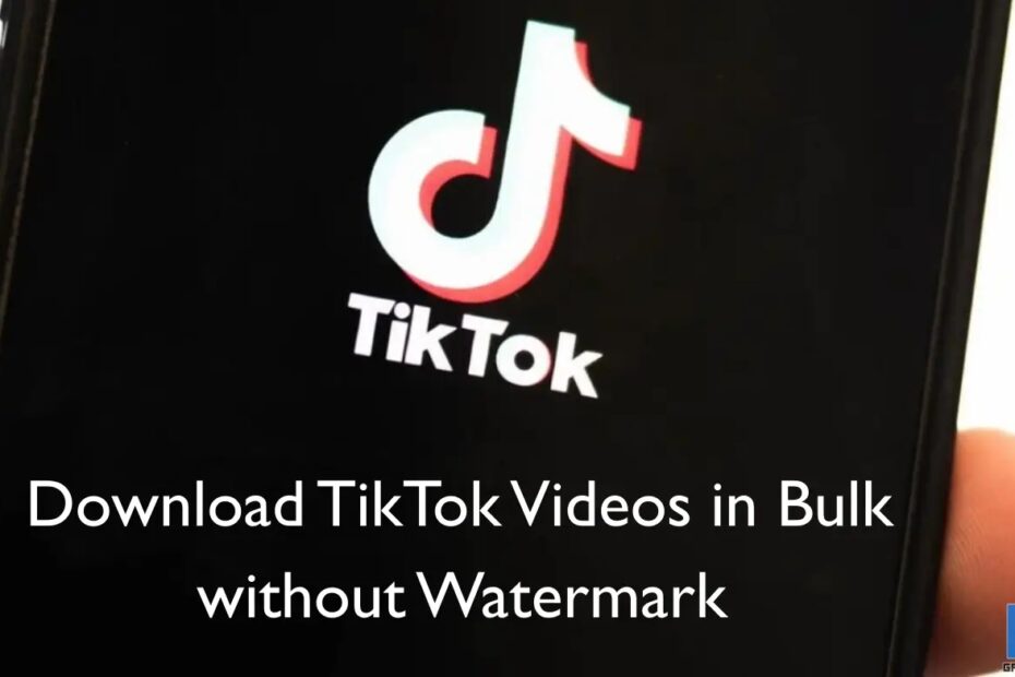 download tiktok videos in bulk without watermark