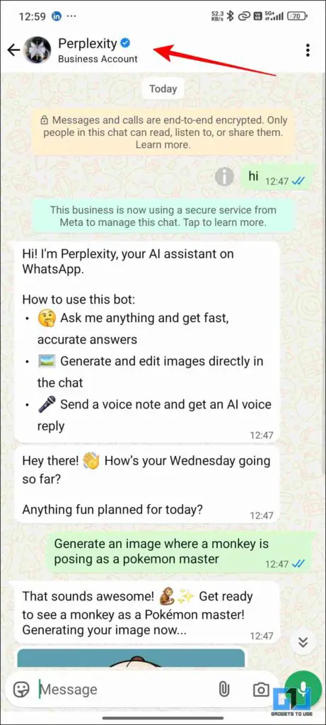 Perplexity first message