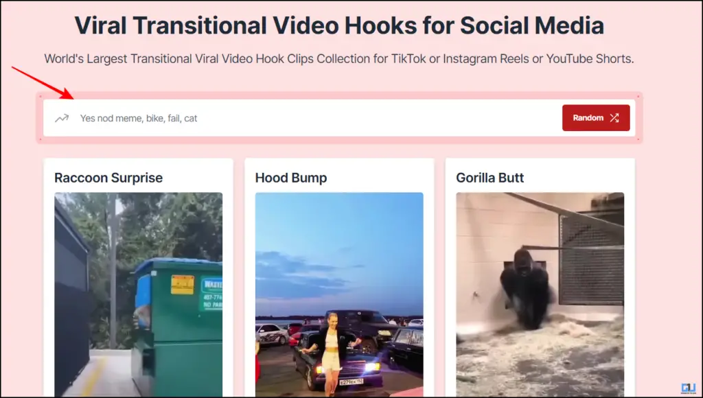 Search bar videohooks