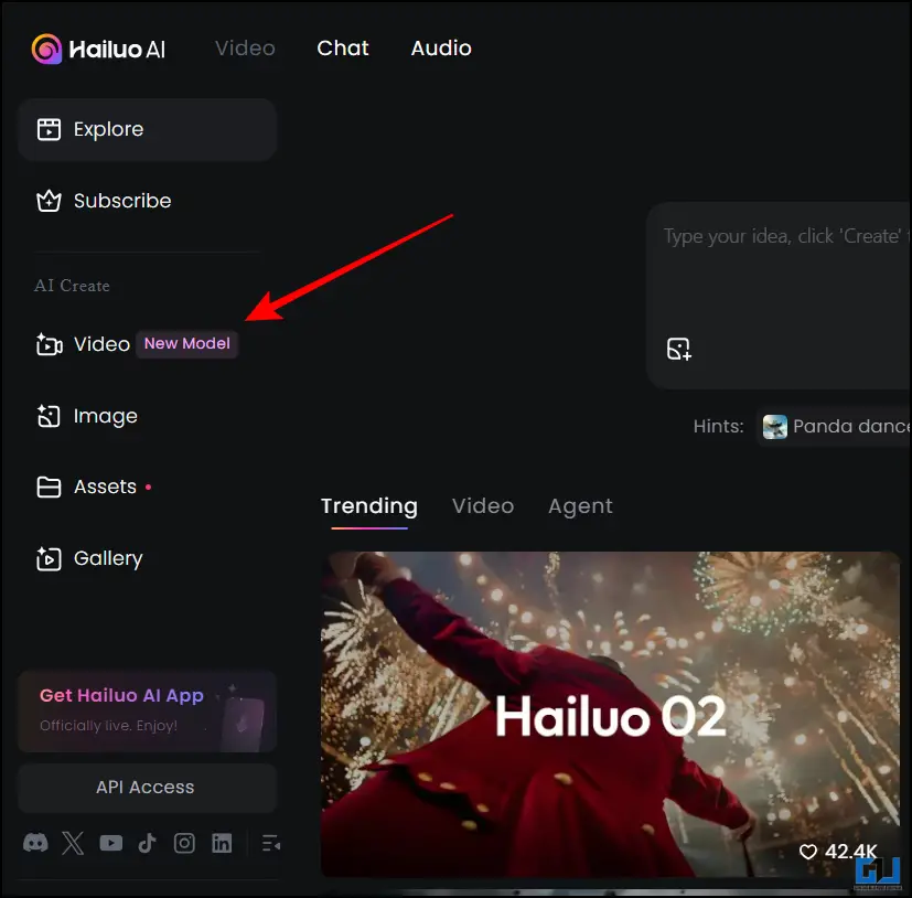 Video Option