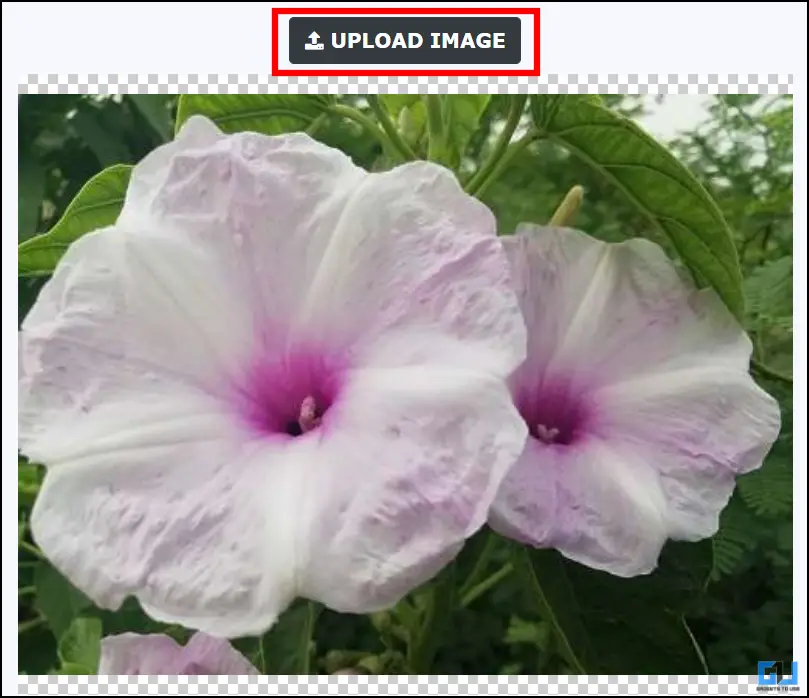 Blur Image Upload option