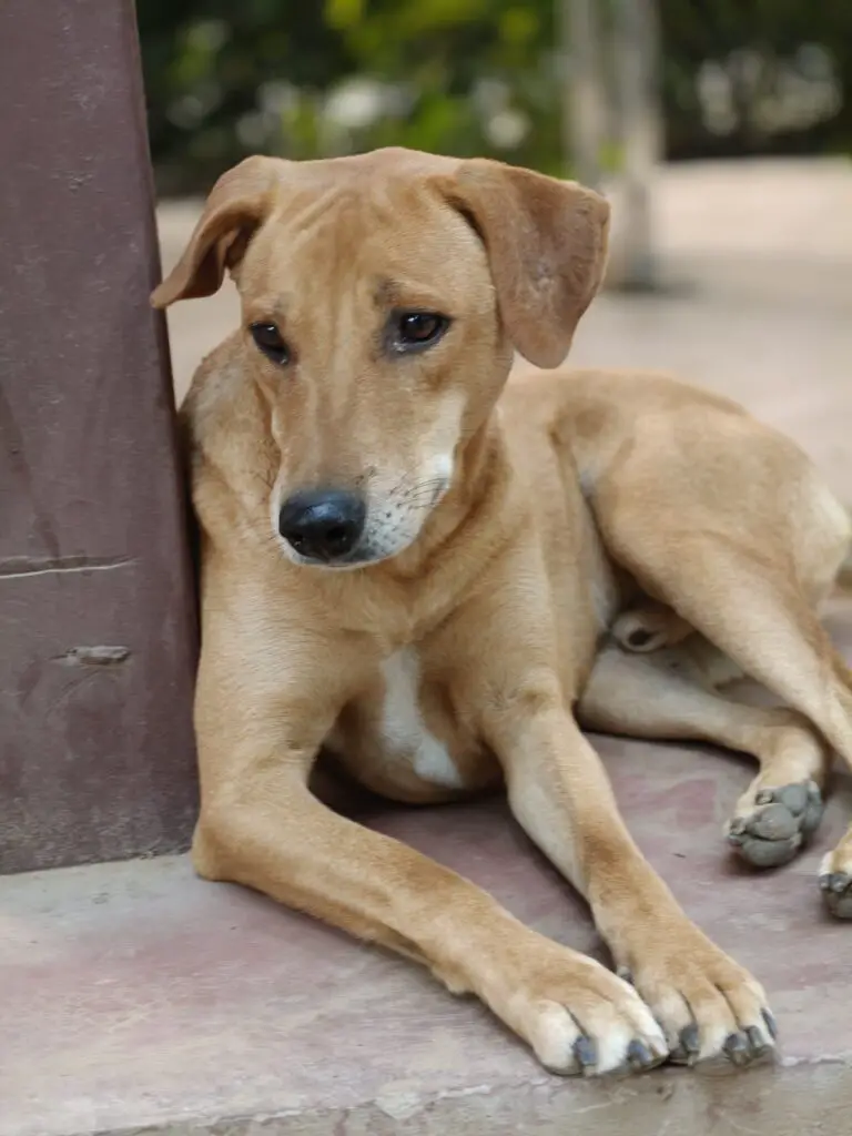 OPPO Find X9 Review: A Well Balanced Flagship 6 IMG20251120170658