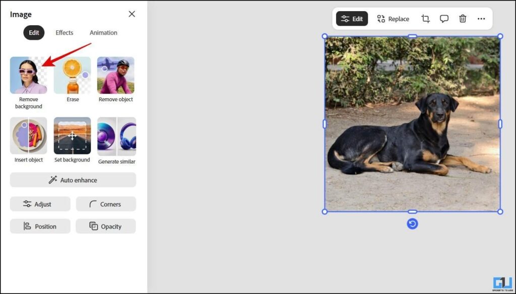 How to Create Designs With AI Using an All-in-One Design Tool 6 image 13